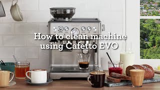 How Clean Machine Using Cafetto EVO  Breville Barista Express  Breville PH [upl. by Gurney60]