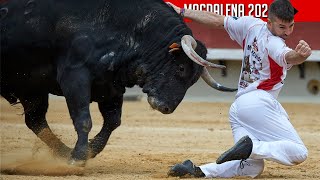 4K ▪ CASTELLÓN DE LA PLANA ▪ CONCURSO DE RECORTE LIBRE ▶ Toros de la ganadería LUPI [upl. by Kushner]