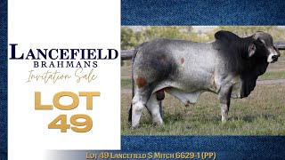 Lot 49 Lancefield S Mitch 66291 PP [upl. by Bettzel]