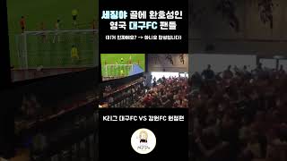 대구FC VS 강원FC 세징야 골에 환호성인 영국 대구FC 팬들합성일상 축구대구대구fc세징야동점골강원강원FC [upl. by Cher]