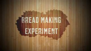 Bread making Experiment [upl. by Norah256]