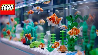 I Built LEGO Aquariums for a Real Golden Fish [upl. by Nwahsir]