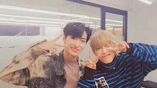 Kim Hongjoong has a crush on Park Seonghwa • Seongjoong ♡ ATEEZ [upl. by Savvas]