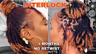 Finally RETIGHTENING After 4 MONTHS  7 months update INTERLOCKING LOCSDREAD Lunia Etienne [upl. by Ecinahc]