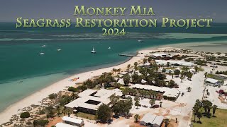 Blue Growth Conference  Monkey Mia Seagrass Restoration Project 2024 [upl. by Zeke]