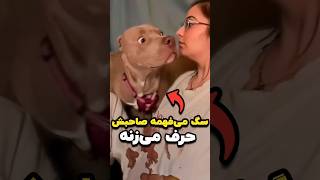 سگ می‌فهمه صاحبش می‌تونه حرف بزنه🤣 [upl. by Key]