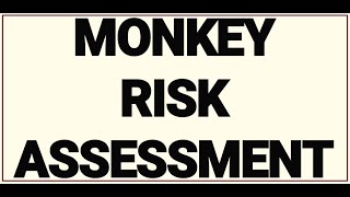 A monkey risk assessment  A new approach  Safety Study Group [upl. by Ybot944]