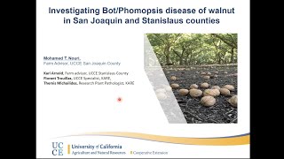 UCCE  Investigating BotryosphaeriaPhomopsis Disease of Walnut  Mohamed Nouri  2022 [upl. by Lyn]