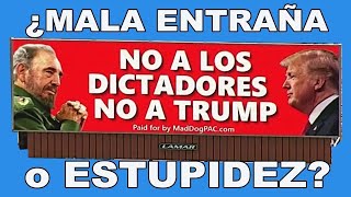 🇺🇸 La valla de Miami ¿Mala Entraña o Estupidez  Trump 2024 [upl. by Oad]