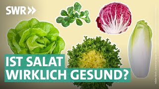 Gartensalate Bittersalate amp Co – das steckt wirklich drin  Marktcheck SWR [upl. by Jarvey]