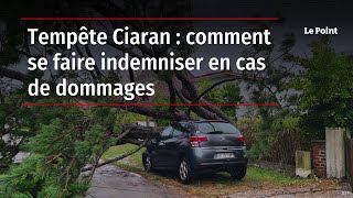 Tempête Ciaran  comment se faire indemniser en cas de dommages [upl. by Holt]