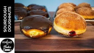 The Best Sourdough Doughnuts I A Knead to Bake [upl. by Duffie]