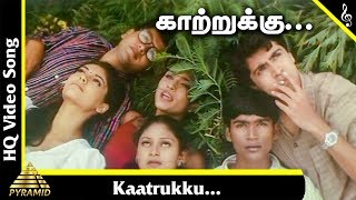 Thulluvadho Ilamai Tamil Movie Songs  Kaatrukku Kaatrukku Video Song  Dhanush  Sherin  Yuvan [upl. by Jemie]