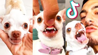 mreviatar  Funny Tiktok Compilation 3 [upl. by Albers]