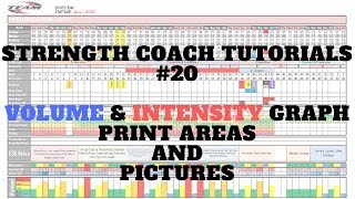 Annual Plan 6  Logos Print Area amp Volume Intensity Area Graph SCT  20  DSMStrength [upl. by Annaeoj81]