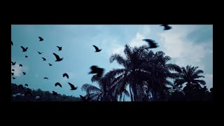 Kasai Allstars  The Large Bird the Woman and the Baby Khalab Remix  Official Music Video [upl. by Slavin]