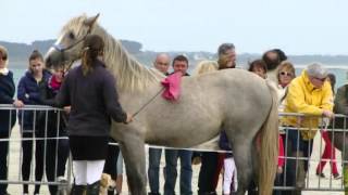 Treustel 2013 Audrey et Ciaran [upl. by Ingold314]