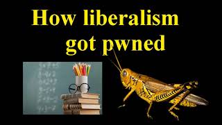 How Liberalism got Pwned [upl. by Lehcin]