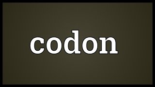 Codon Meaning [upl. by Finlay]