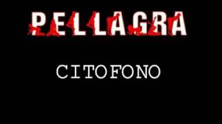 PELLAGRA Citofono [upl. by Laws]