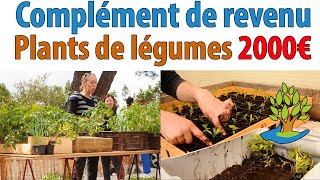 Complément de revenu  gagnez jusquà 2000€ avec la vente de plants de légumes [upl. by Emerej843]