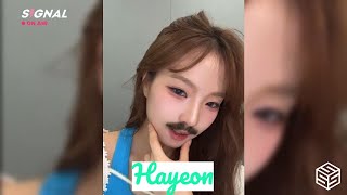 ENG SUB tripleS Instagram SIGNAL LIVE 240815 Hayeon 트리플에스 HaSeok [upl. by Ehudd]