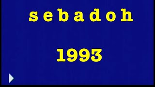 SEBADOH 1993 tour video [upl. by Leerzej]