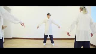 Authentic Wudang Wu Xing Five Animals Qi Gong [upl. by Marilee]