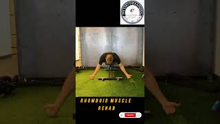 Rhomboid muscle rehab physiotherapist9536 viralvideo rhomboids [upl. by Ileray]