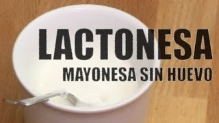 CÓMO HACER LACTONESA  Mayonesa sin huevo [upl. by Ahsaeit606]