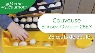 Couveuse Brinsea Ovation 28 EX • Choisissez la bonne couveuse pour vos poussins  Ferme de Beaumont [upl. by Atniuqal702]