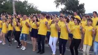 FlashMob  Dans Popular Galati 2013 [upl. by Nohsed727]