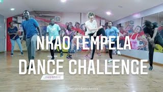 Nkao Tempela Dance Challenge  Chicco ft Mellow Sleazy [upl. by Nitaf]