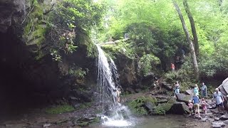 Hike to Grotto Falls in the Great Smoky Mountains National Park [upl. by Auhso582]