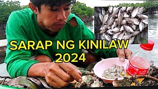 SARAP NG KINILAW NA PARANGANIBIS 🐟🐟mudshrimphuntervlog8392 [upl. by Alli922]