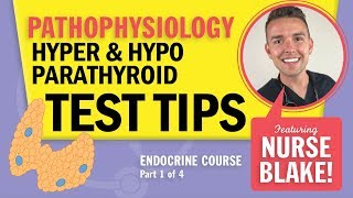 Hypoparathyroidism vs Hyperparathyroidism NCLEX Pathophysiology Endocrine Review with Nurse Blake [upl. by Kcirddot]