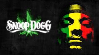 Snoop dogg Smoke weed everyday dupstep remix speed up [upl. by Sweet545]