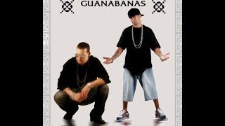 Las Guanabanas Reggaeton Exitos Mix [upl. by Marcille]