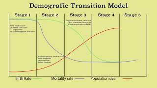 Animation of the demographic transition model and population growth amp decline [upl. by Hillary]