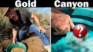 Why This Location is the Best Place to Find Placer Gold [upl. by Lebiralc679]