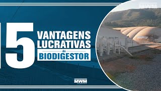 Conheça as vantagens lucrativas de um biodigestor [upl. by Minna863]