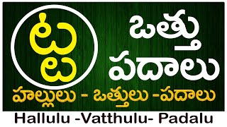 Ta Vattu Padalu  How to write Ta vattu  ట వత్తు పదాలు  Hallulu vatthulu padalu in telugu [upl. by Stuckey]