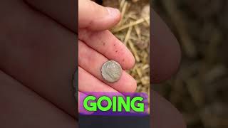 Roman republican hoard  AGAIN 😯😳 ukmetaldetecting [upl. by Attezi933]