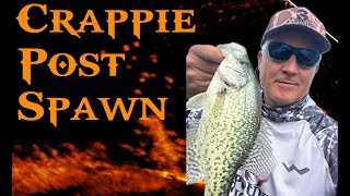 Crappie Fishing Whatever it takes [upl. by Gerdy]