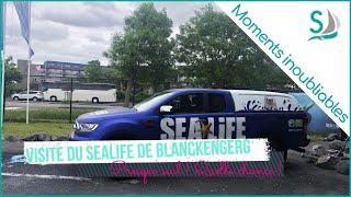 Vlog  11  de Zeebrugge à Blankenberge visite du sealife et des fêtes folkloriques du port [upl. by Ennaear]