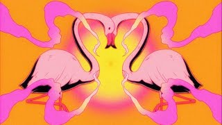 Flamingosis  Nebula Gazer Visualizer [upl. by Nnaj]