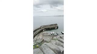 Clovelly Devon [upl. by Alimac]