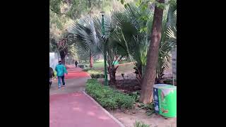 Welcome to Nehru Park newdelhi delhi parks Delhikaparmish [upl. by Charbonnier]