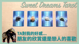 🌜Sweet Dreams Tarot🌛會錯意😳TA對我的好感是朋友的欣賞✨還是戀人的喜歡💖用塔羅牌窺探TA對你的感覺⭐️接下來對於這段關係的打算與行動✅朋友同事曖昧前任⏰Timeless [upl. by Caye]