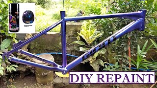 DIY Bike Frame Repaint samurai [upl. by Edvard938]